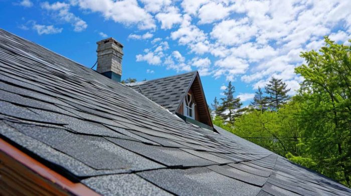 Comprehensive Guide to Your Roof Inspection and Estimate Process ...